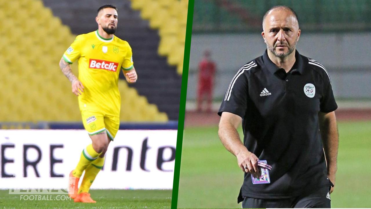 équipe d'Algérie Delort Belmadi