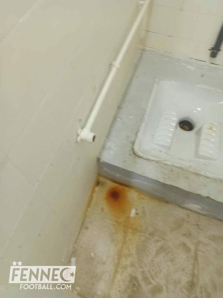 352654972 720688553397800 559001030755571809 n