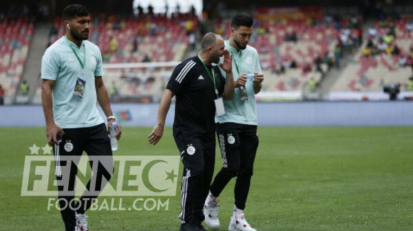 Djamel Belmadi Ramy Bensebaini