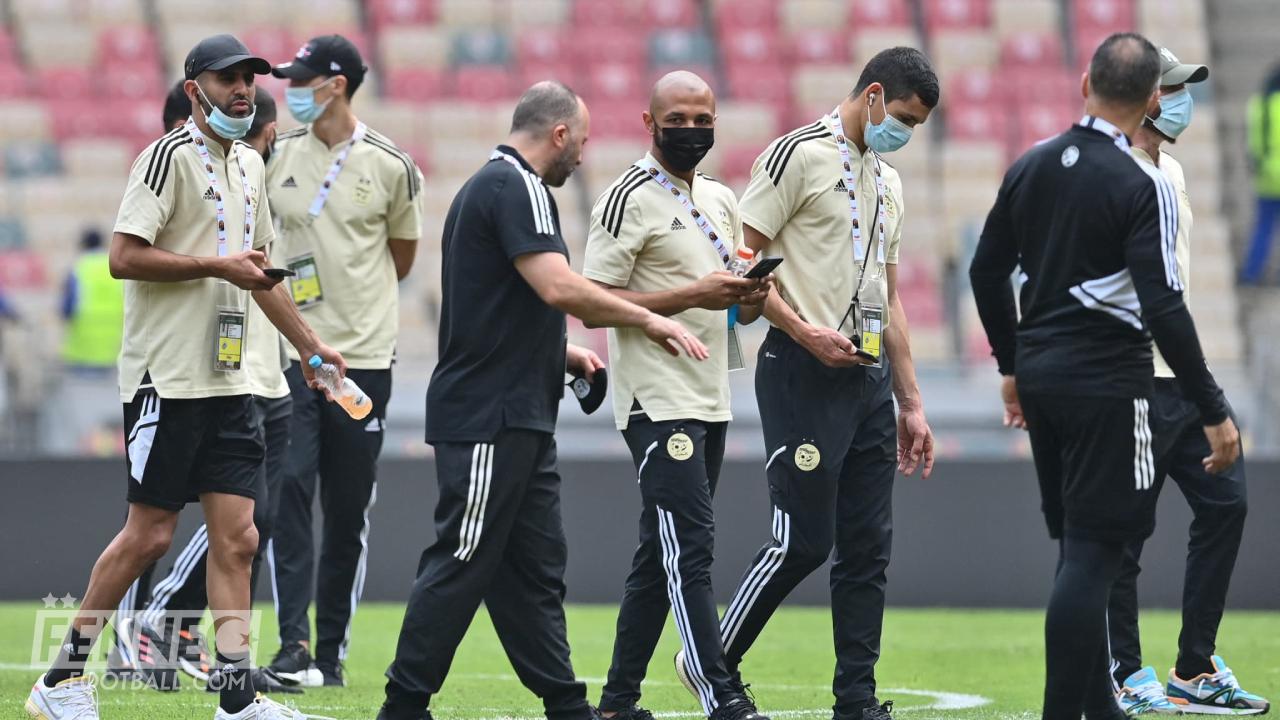 Djamel Belmadi Yacine Brahimi