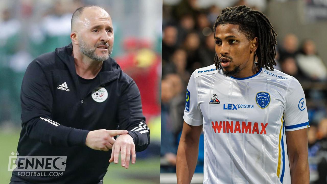 Djamel Belmadi Yasser Larouci