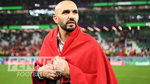 Walid Regragui Neil El Aynaoui