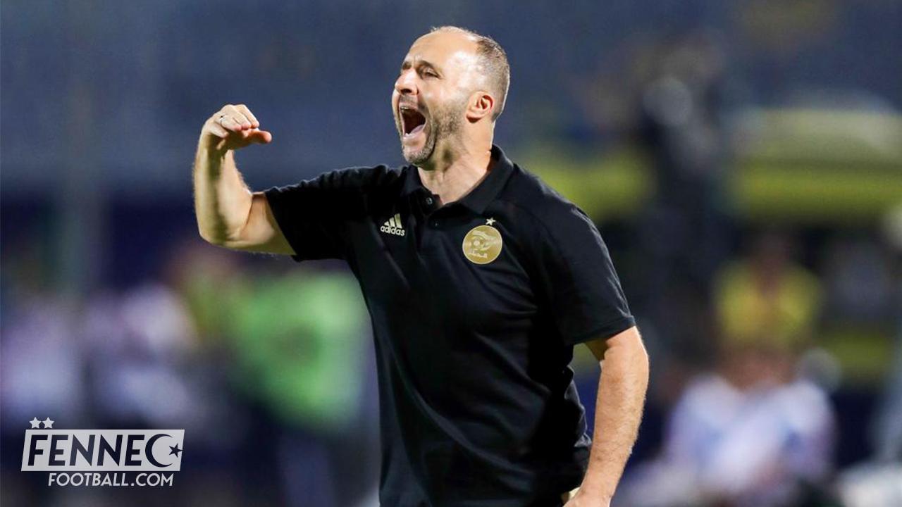 Belmadi Algérie franco algérien