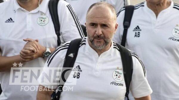 Belmadi