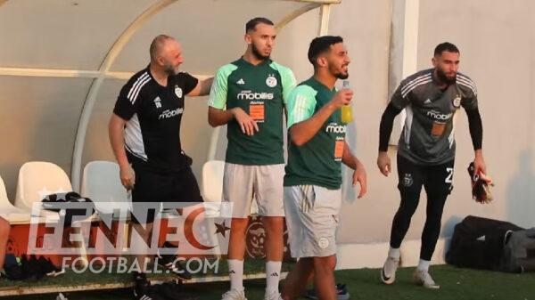 Amine Gouiri Djamel Belmadi