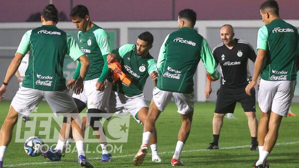 Egypte équipe Algérie Belmadi