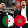 Algérie Maroc Djamel Belmadi Walid Regragui