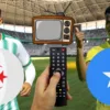 Algérie Somalie Chaine TV