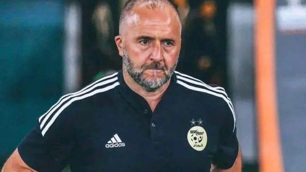 Belmadi Algérie