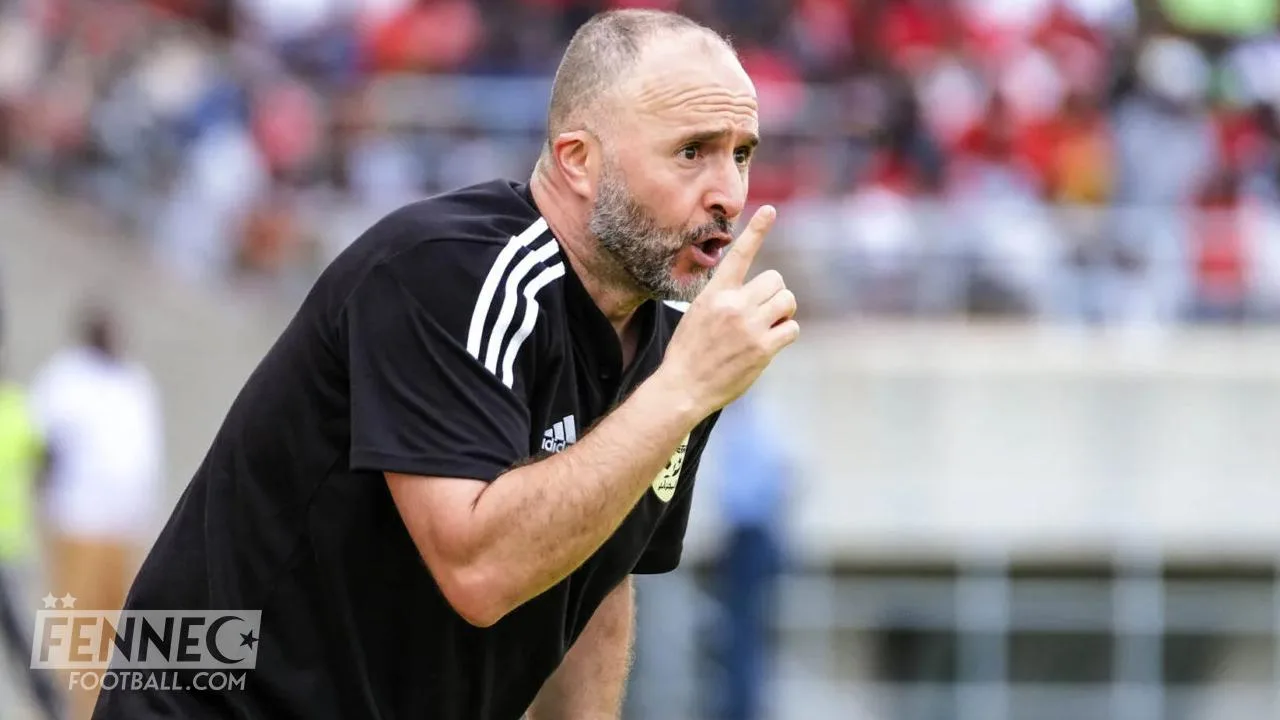 Belmadi équipe Algérie FAF