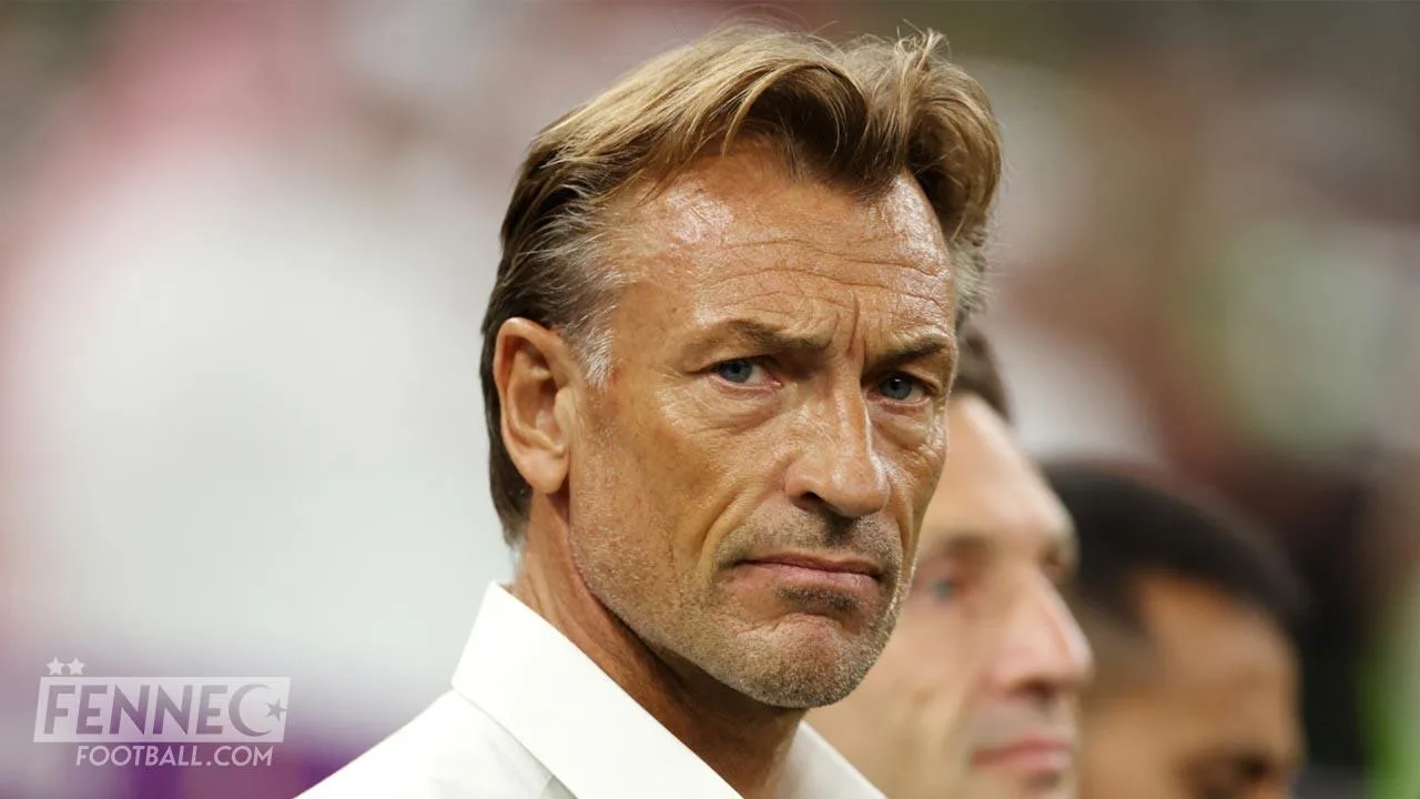 Belmadi Hervé Renard équipe d'Algérie