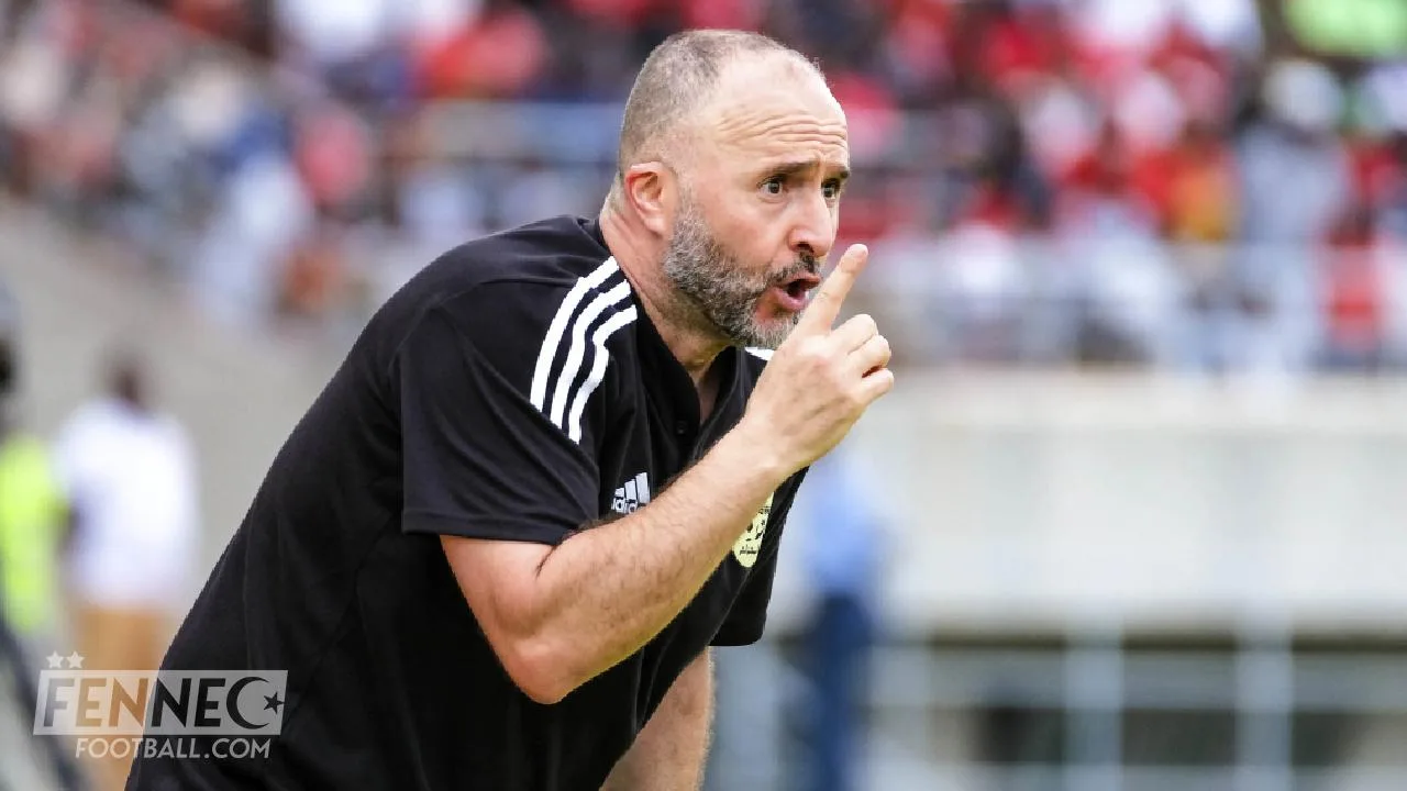 Djamel Belmadi FAF