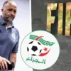 Belmadi