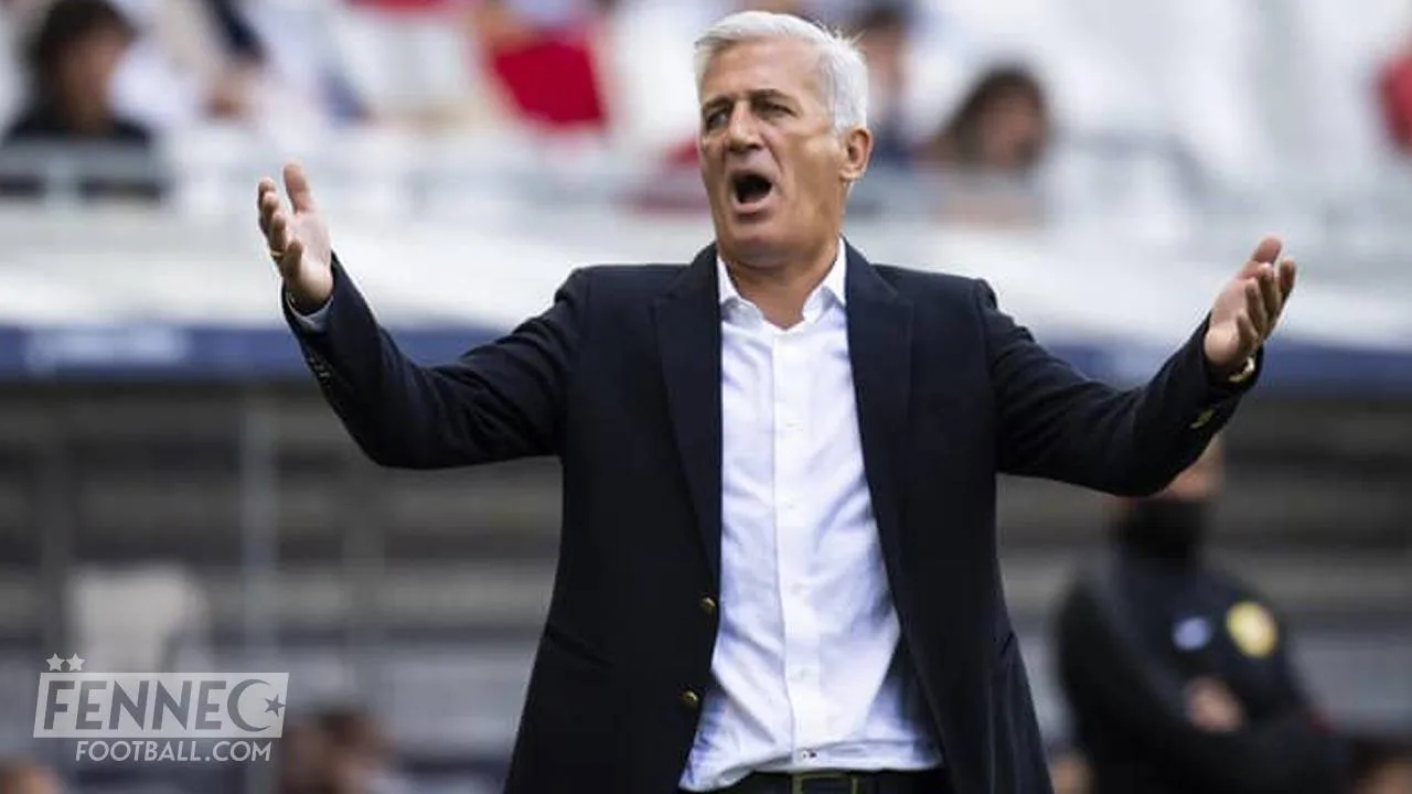 Vladimir Petkovic équipe Algérie