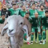 joueur équipe Algérie moutons