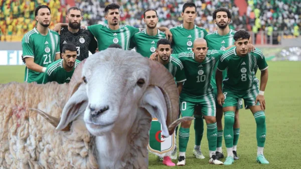 joueur équipe Algérie moutons