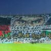 MC Alger MCA Mouloudia d'Alger