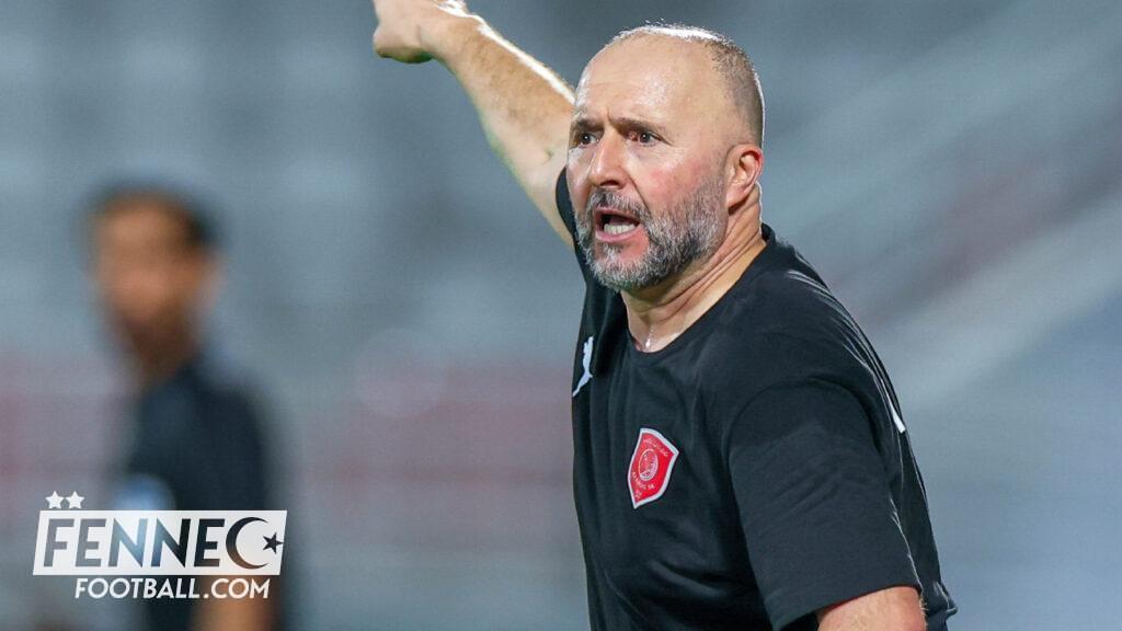 Belmadi