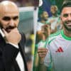 Mahrez Maroc Regragui