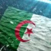 équipe d'Algérie