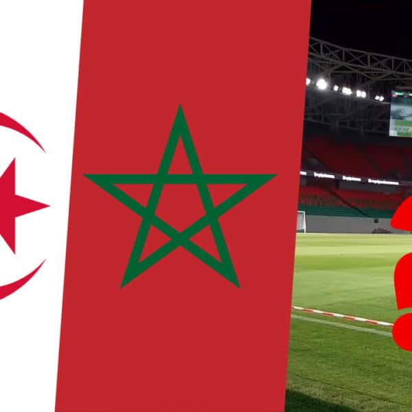 Débardeur Algérie Fennec - Maillot De Foot Supporter, Cadeau Original Pour Fans De L'équipe Algérienne (DZ) - 2