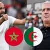 Algérie Maroc Regragui Petkovic