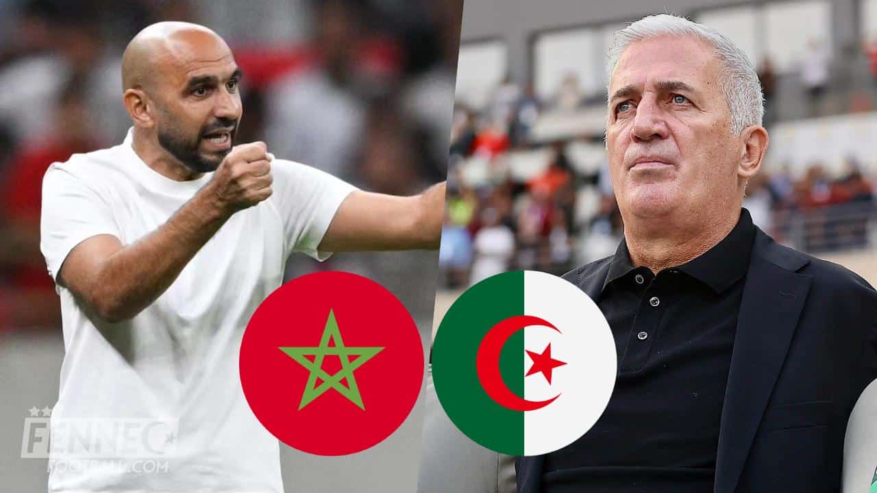 Algérie Maroc Regragui Petkovic
