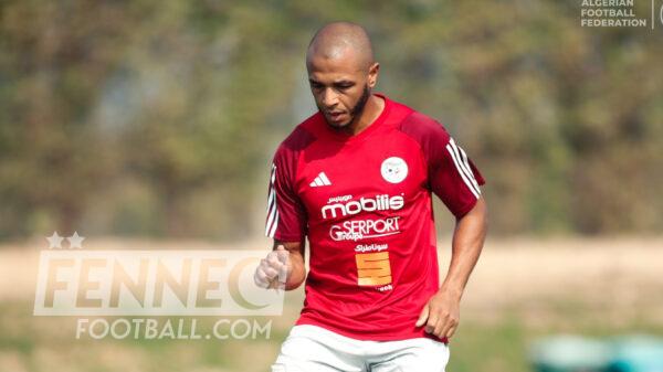Brahimi